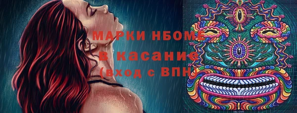 крисы Алзамай