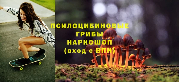 стафф Алексеевка